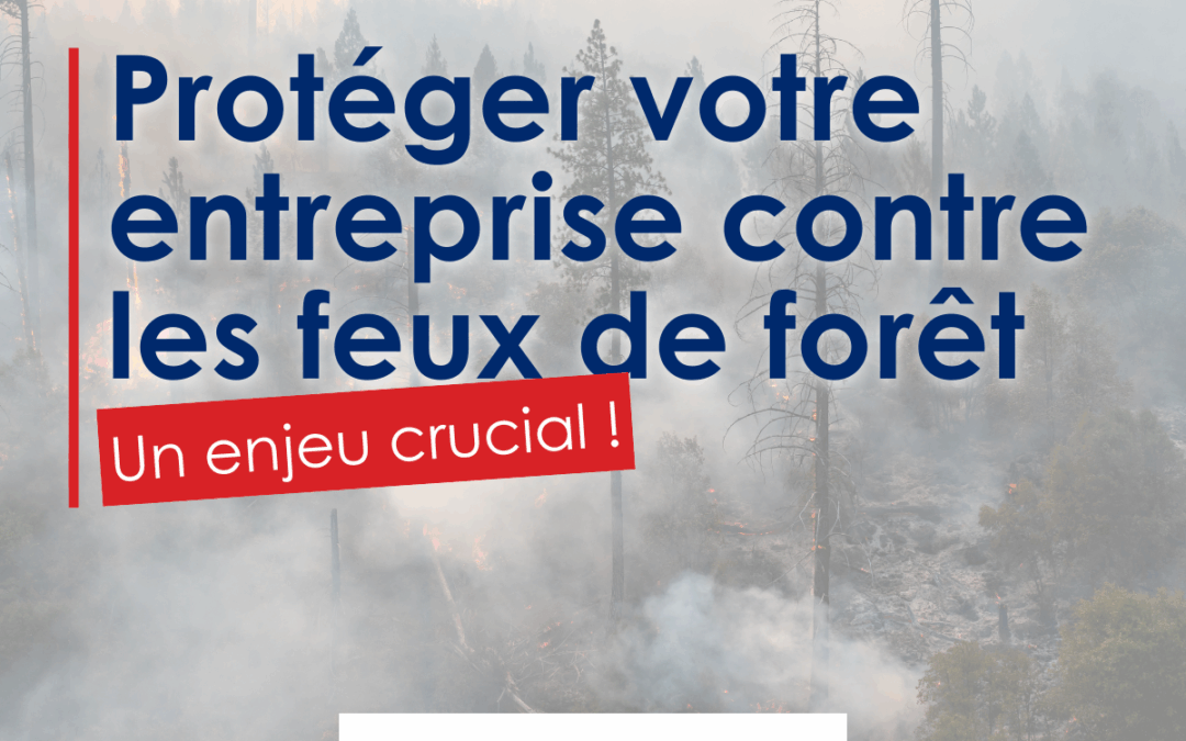 Protéger votre entreprise contre les feux de forêt : un enjeu crucial